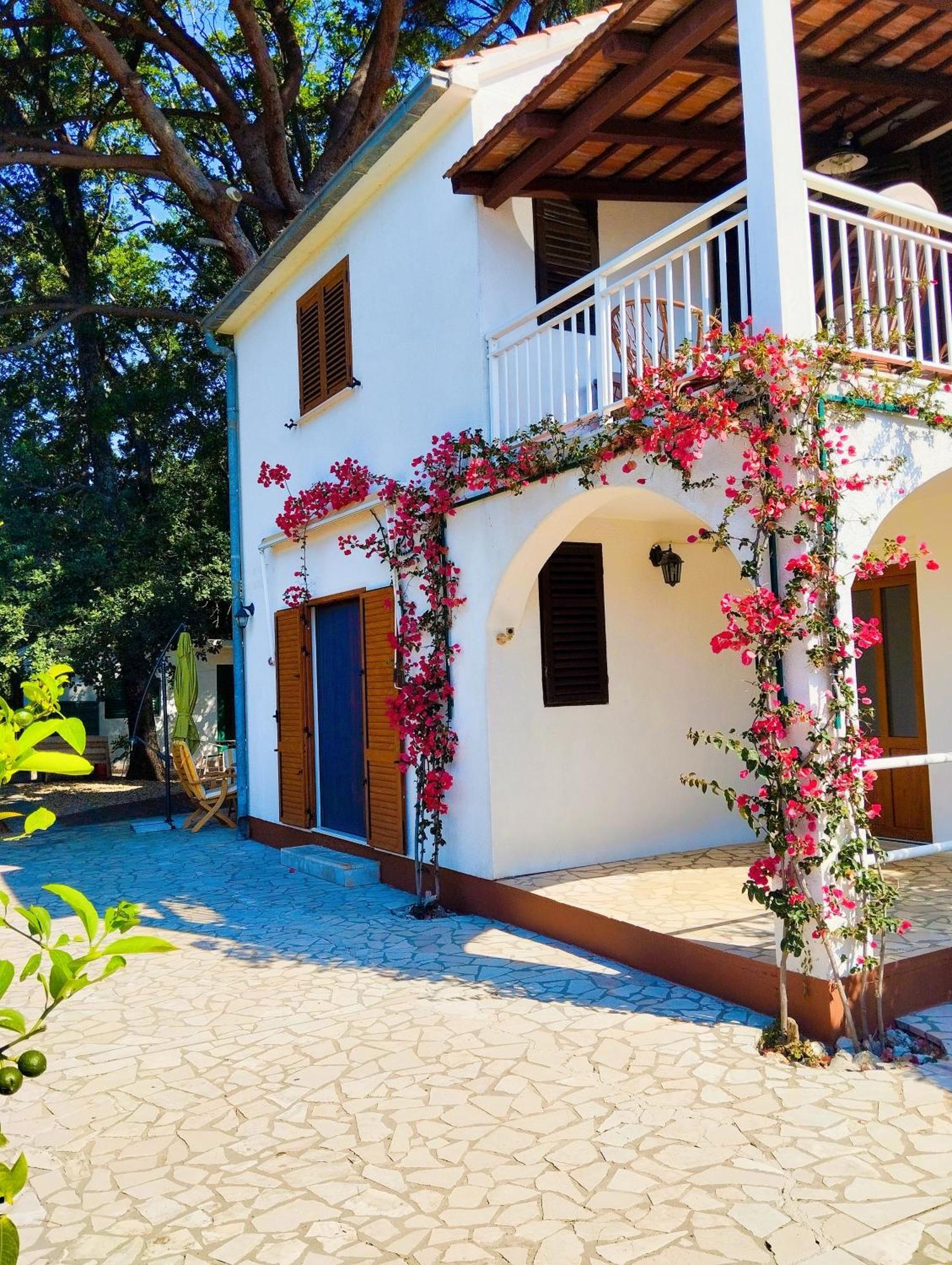 Holiday House Pinus Pinea Viganj Exterior foto